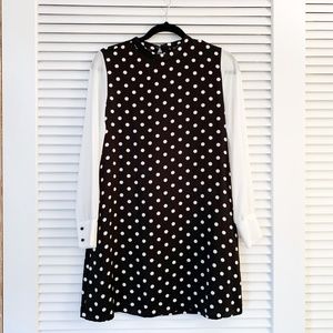 ZARA POLKA DOT DRESS